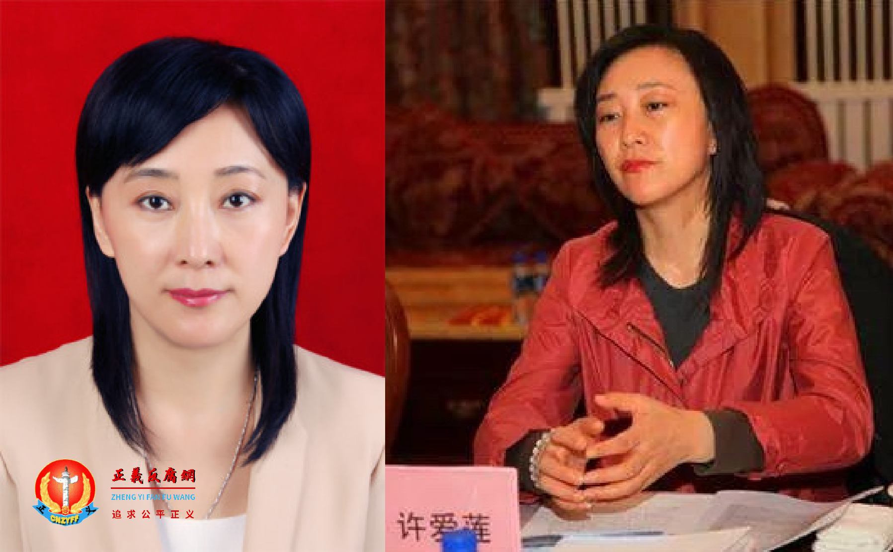 内蒙古自治区满洲里市爱美的原女市长许爱莲.png