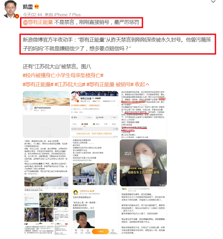 @鄂有正能量 不是禁言，刚刚直接销号，最严厉惩罚.png