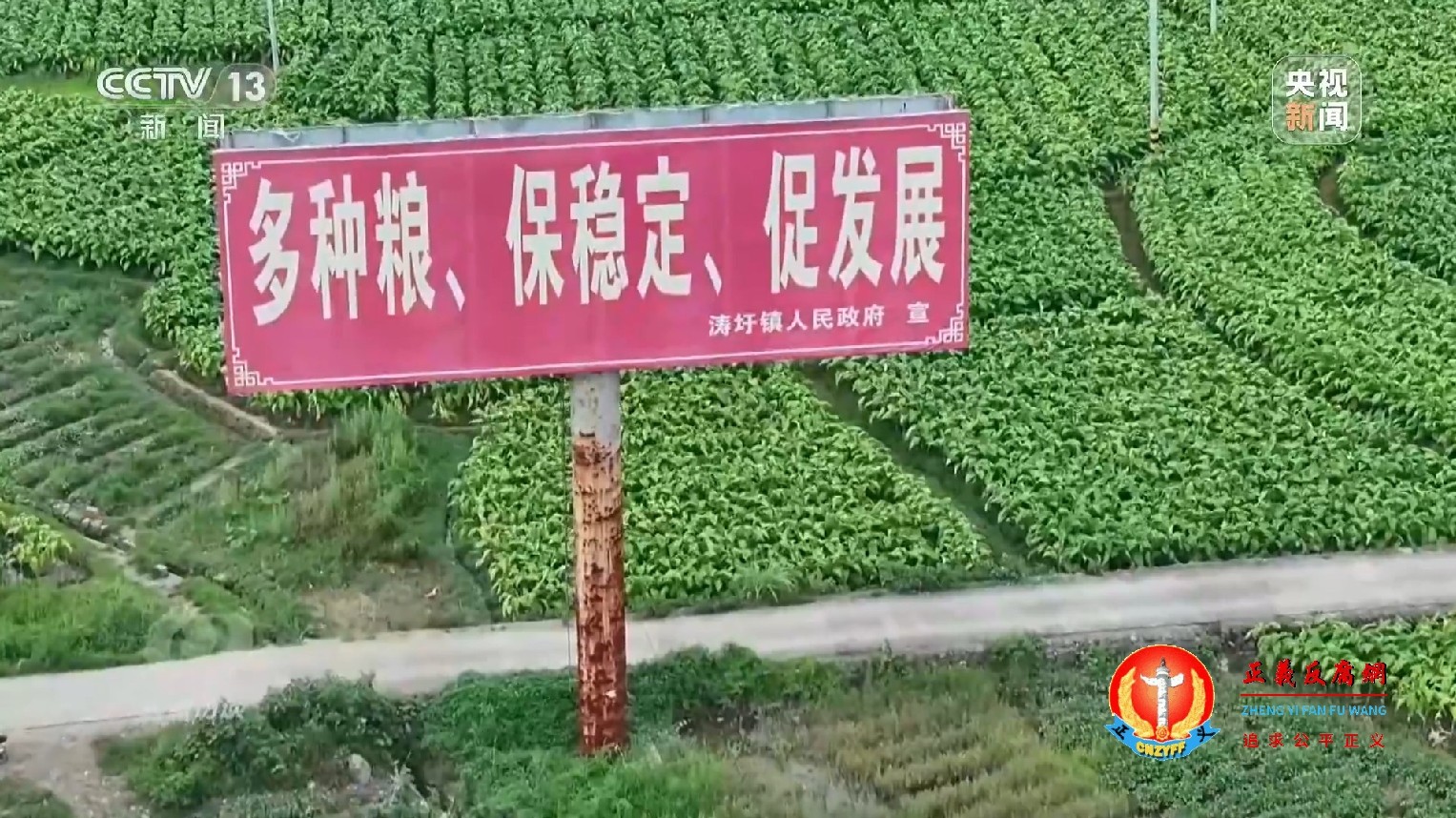永久基本农田有不少水田里种的都不是水稻,而是南瓜、苦瓜等蔬菜作物。在涛圩镇石头寨村附近的一片农田中央竖着“保障粮食生产”“多种粮、保稳定、促发展”两块的大牌子,但是水田里种的却是别的经济作物。.jpg 永久基本农田有不少水田里种的都不是水稻,而是南瓜、苦瓜等蔬菜作物。在涛圩镇石头寨村附近的一片农田中央竖着“保障粮食生产”“多种粮、保稳定、促发展”两块的大牌子,但是水田里种的却是别的经济作物。.jpg