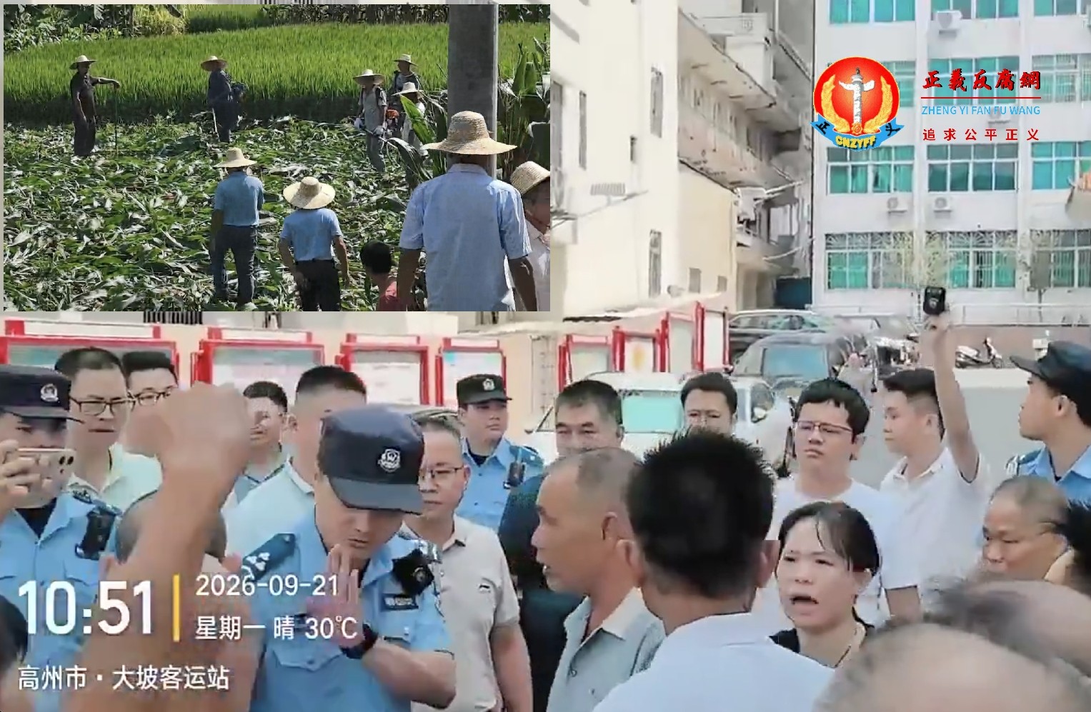 9月20日，广东省茂名市高州市大坡镇政府组织人员强行清除上良坑村村民已种下的农作物，双方在阻拦过程中发生冲突，造成村民多人伤亡。次日，大批村民聚集镇政府门前拉横幅维权，要求当地政府公开调查并予以赔偿。.jpg